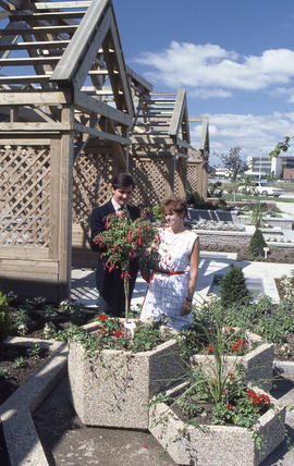 Photograph of visitors at the Demonstration Gardens following the official opening
