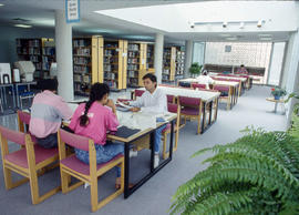 Photograph of students studying in the library