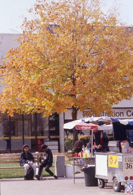 Photograph of a food stall infront of the D building