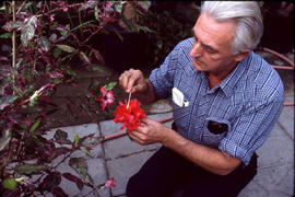 Photograph of a staff working with plants