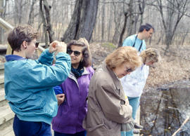 Photograph of staff standing on a deck in the Arboretum
