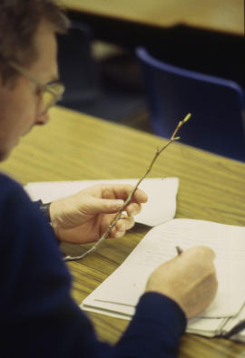 A photograph of a Floriculture student examining a twig