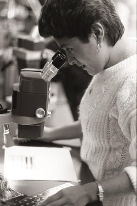 Photograph of a person looking into a microscope