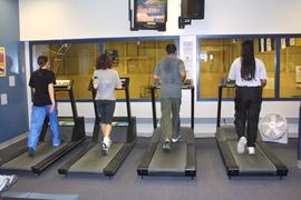Working out on treadmills : [photograph]