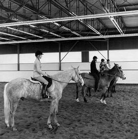 Photograph of Equestrian Students Mounted on Horses