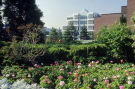 Photograph of landscaping at the north campus