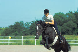 Photograph of an equine student on a horse