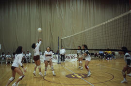 A photograph of Humber Hawks intramural women's volleyball team at play