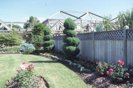 Photograph of the Arboretum gardens