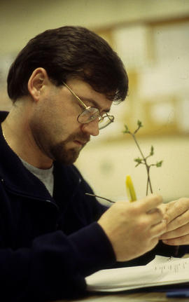 A photograph of a Landscape student examining a plant shoot