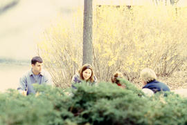 Photograph of students seated on the curb in the courtyard