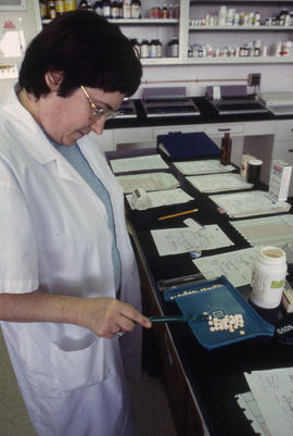 Photograph of a Pharmacy Assistant student at work
