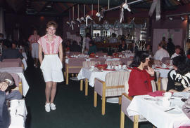 Photograph of a fashion model in a dining room