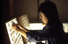 Photograph of a student sorting negative slides on a lightbox