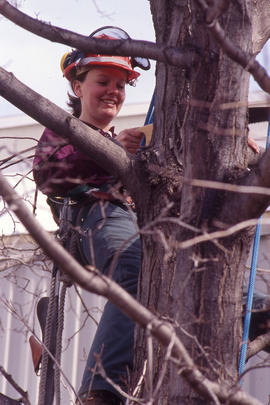 Photograph of arboriculture students getting first hand experience in pruning a tree