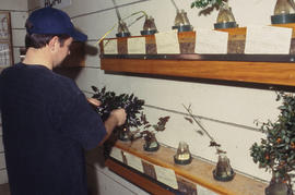 A photograph of a student checking seedlings in a jar