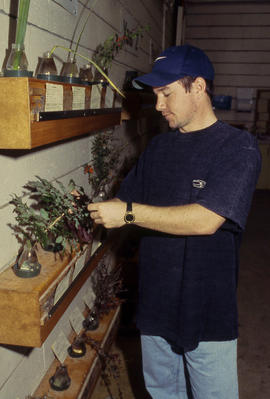 A photograph of Landscape student looking at seedlings