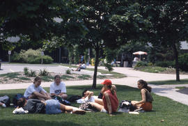 Photograph of People Sitting on the Lawn