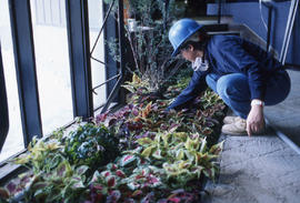 Photograph of a Landscaping Student Working on a Display