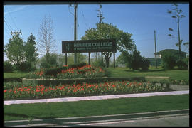 Photograph of a landscaped signage for North campus