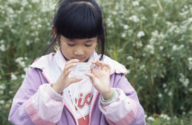 Photograph of a Kid Looking at an Insect