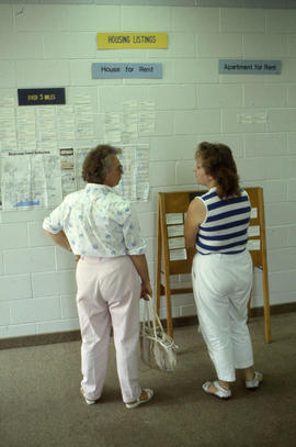 Photograph of housing rental ads posted on a wall