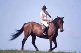 Photograph of an Equine Student Riding a Horse