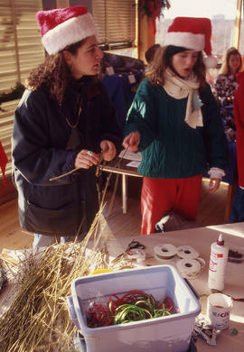 Photograph of People at the Christmas Tree Sale and Family Event