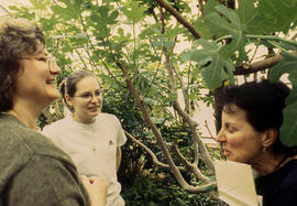 Photograph of students in the greenhouse