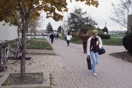 Photograph of walkway to the entrance of D building