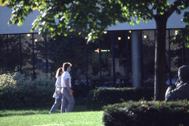 Photograph of people walking towards the IE building entrance