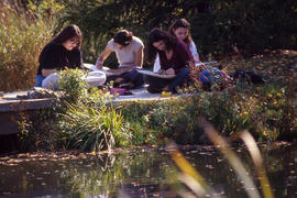 Photographs of students studying