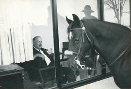 Photograph of a Horse Outside of Gordon Wragg's Office