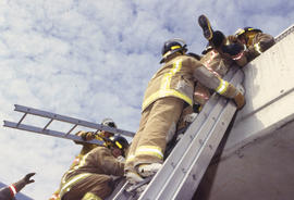 A photograph of Firefighting students on ladders