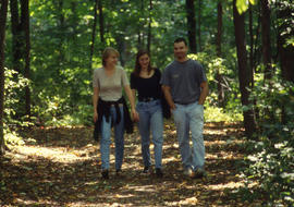 Photograph of three students taking a stroll along the forest trail in the arboretum.