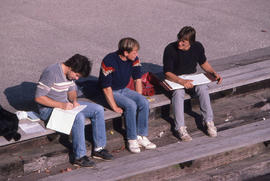 Photograph of students talking on the bleachers