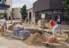 Photograph of Landscaping at the Front of the Greenhouse G Building