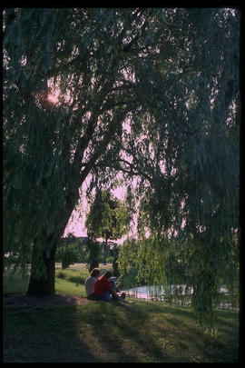 Photograph of students in the arboretum