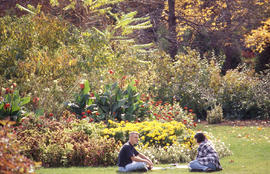 Photograph of two students sitting beside a garden with yellow flowers in the arboretum.
