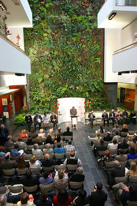 Photograph of a plant wall