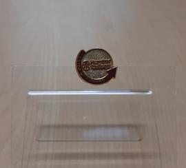 Extra mile award pin : [object]