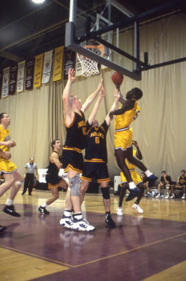 Photograph of Humber Hawks basketball team