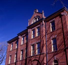 Photograph of an exterior shot of the roof of one of Lakeshore's cottages