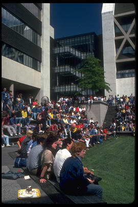 Photograph of Students Watching a Log Throwing Event