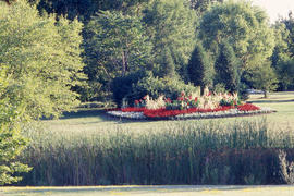 Photograph of Humber Arboretum gardens in the Summer