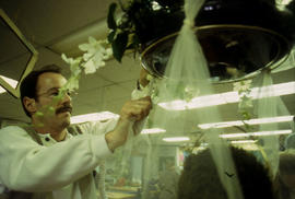A photograph of a Retail Floriculture student building an arrangement