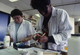 Photograph of Pharmacy Assistant student at work