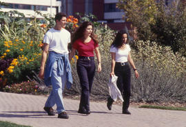 Photograph of students walking the pathway in the arboretum