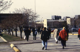 Photograph of students heading into the college along the apple tree lined walkway