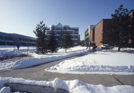 Photograph of the Walkway Leading to the NX Building